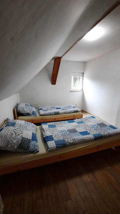 Dum U Lesa - Nove Hamry Villa Kültér fotó